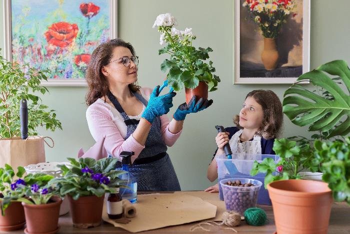 Обучение детей мерам безопасности с комнатными растениями