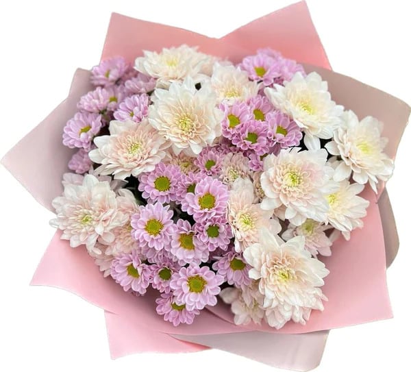 Восхитительный букет розовых и белых хризантем, завернутый в нежно-розовую бумагу.